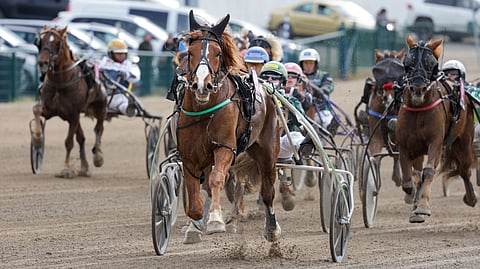 Soketti on näyttävä ilmestys.