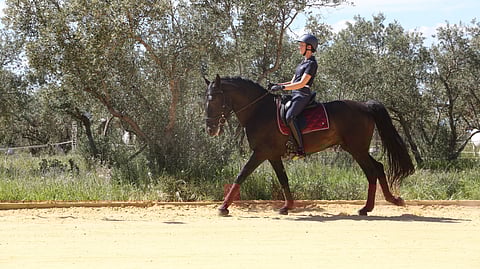 PRE-ori Kyrill on uusi projekti. 