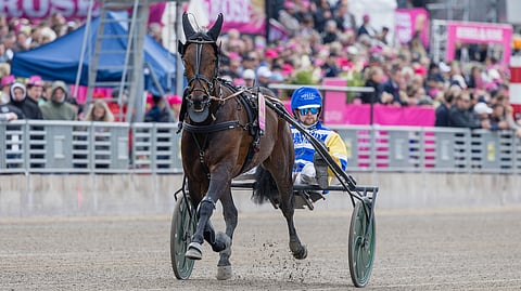 Mellby Knekt ja Magnus A Djuse