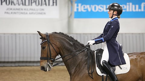 MSJ Disney Fairytale. 