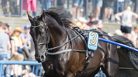 Borups Victoryn 8-vuotiskausi alkaa Seinäjoelta. Daniel Wäjerstenin ajokille osui rata kymmenen.