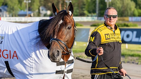 Lauantaina Elitloppet-kutsun saanut Massimo Hoist on Seinäjoki Racen suurin suomalaistoivo. 7-vuotiasta oria valmentaa Jukka Hakkarainen.