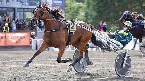 Ze On Alma avaa 5-vuotiskautensa Tammaderbyn karsinnoista.