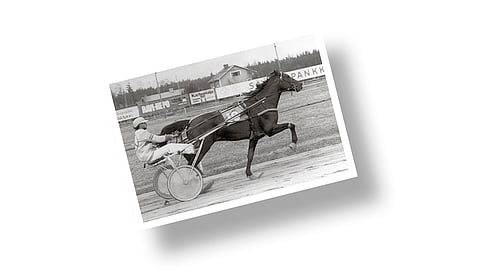 Kuva-arvoitus: Tiedä tai arvaa mikä parivaljakko?