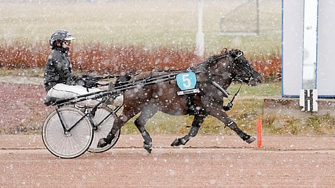 Mäntylahen Tuimaepeli voitti ponilähdön.