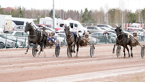 Borups Victory kirii ulkoa kärkeen, Combat Fighter on sisäpuolella kakkonen ja Need'em taistelee hienosti kolmanneksi.