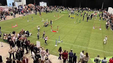 Kepparien estekilpailut pyörivät nonstoppina omalla alueellaan, E-hallissa. 