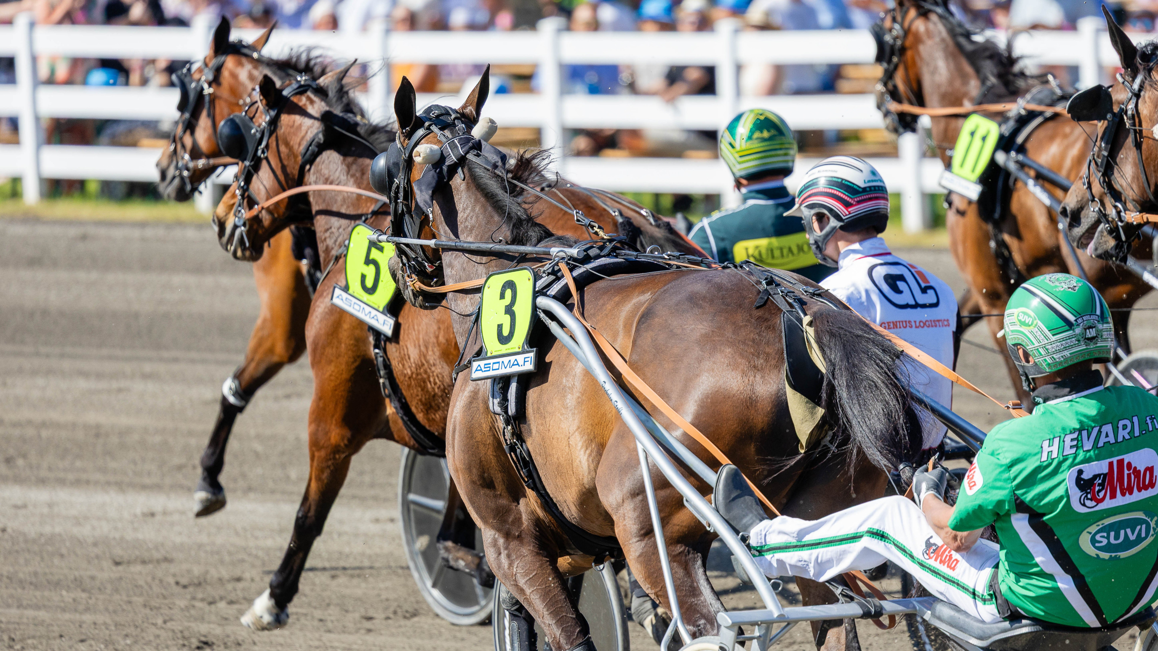 Ohjastajalle on vaikea paikka, kun moni yhteistyövalmentaja ilmoittaa hänelle hevosen samaan lähtöön.