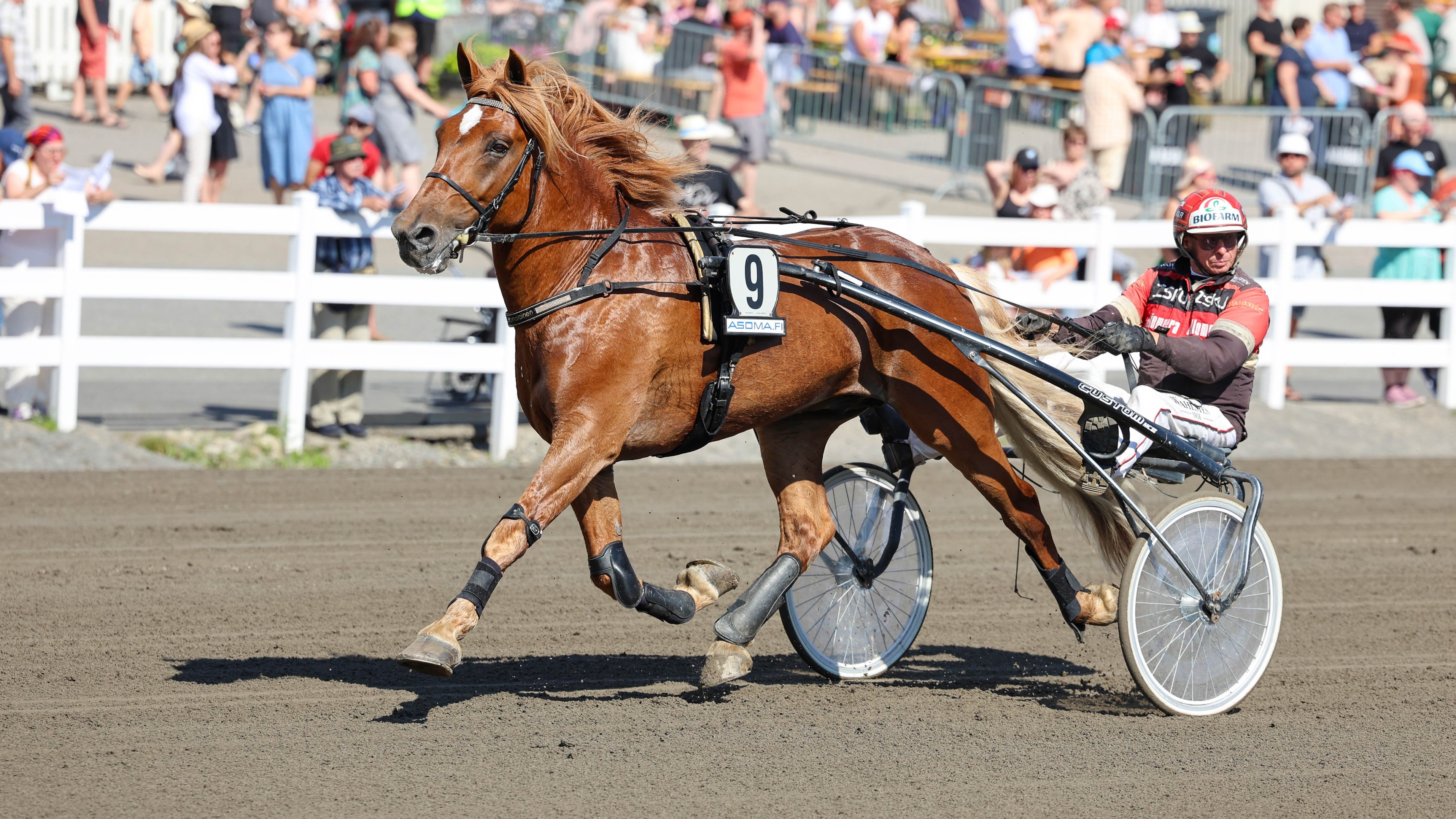 Uljas Suomalainen on juossut uransa kaikki 173 starttia Tapio Perttusen valmennuksesta.