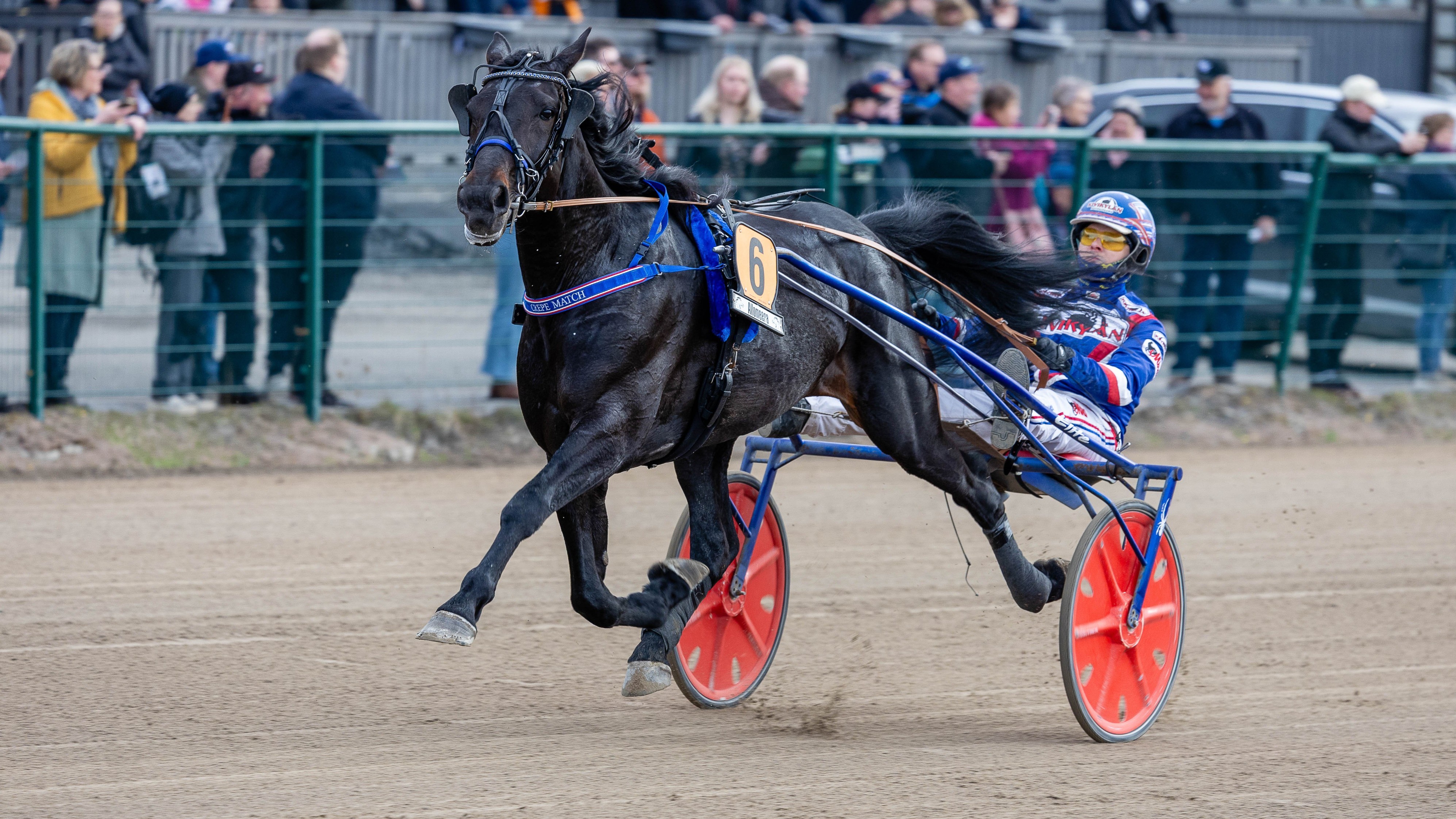 lämminveriravuri Crepe Match rattaillaan Olli Koivunen.
