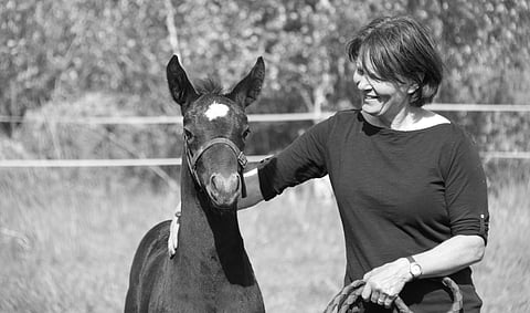 Susanna Frey 1964 - 2026. 