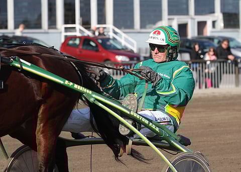 Erkki-Pekka Mäkisen Vixpress Li on mainio pelihevonen Toto65-pelin päätöskohteessa.