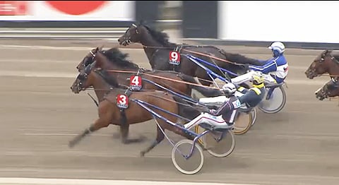 Kolmevuotias Freddie de Veluwe kiersi kolmatta rataa väkevästi voittajaksi Solvallassa.