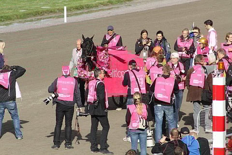 Magic Tonight voitti Elitloppetin