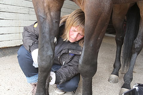 Minna Malmström on tehnyt hirudoterapiaa jo kolme vuotta.