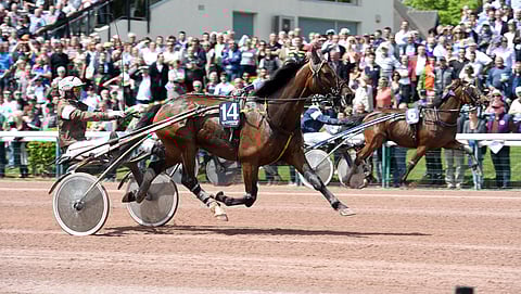 Caenissa paistoi aurinko kun Roi du Lupin voitti 67 500 euron ykköspalkinnon.