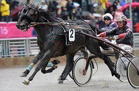 Sweden Cupin voittaja Ringostarr Treb halajaa kuulla Italian kansallislaulun Vermossa toukokuun kahdeksantena