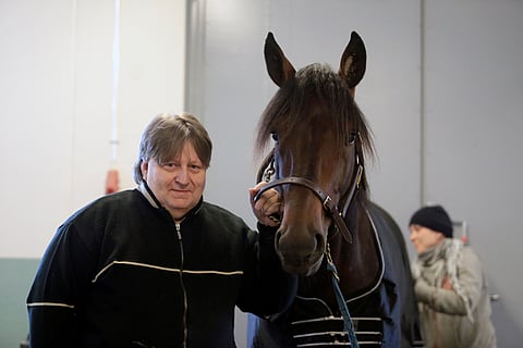 Reima Kuislan Your So Vain on tällä hetkellä valmennuksessa Ruotsissa. Kuva: Vilma Saarela.