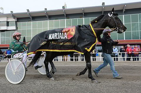 Kultaloimen sankari David Sisu pyrkii jatkamaan urotekojaan Suomessa.