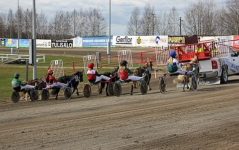 Pohjois-Pohjanmaalla houkutellaan poniraviurheilijoita kisaamaan pienemmille radoille.