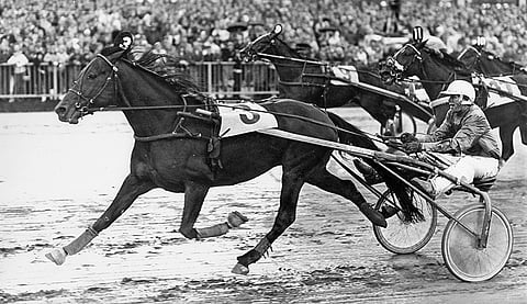 Billy The Kid voitti Suur-Hollolan vuonna 1982. Ohjaksissa Harri Hyytiäinen.