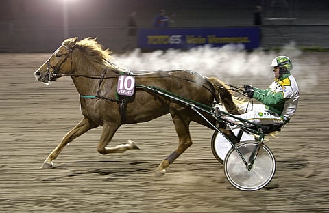 Suomenhevosten tammahuipulle odotetun Turbo-Impin taival päättyi sunnuntaina.