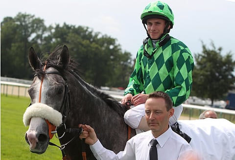 The Grey Gatsby on yksi katseenvangitsijoista Royal Ascotin kisaviikon avajaisissa keskiviikkona. Lähtöjä voi seurata Fintoton verkkosivulta suorasta live-streamingistä. Kuva: Totofoto