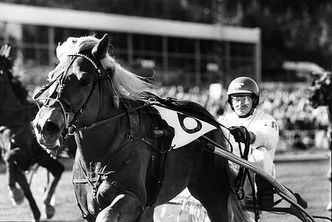 Poika-Vinkaus täyttää tänään 30 vuotta