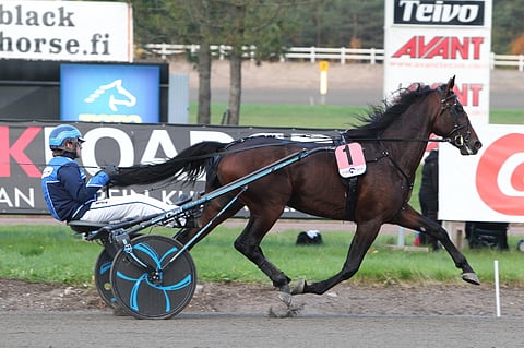 Jontte Boy on sinivalkoisin silmin luonnollinen varmavalinta Halmstadiin. Vaikka taulu on sekaisin, Tuomas Korvenoja uskoo sen johtavan karsintalähtöään lähdöstä maaliin.