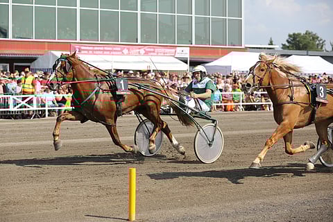 Viisivuotisikäluokan kärkivarsoihin kuuluva Kihisee joutuu jättämään Tawaststjernan Muistoajon väliin.