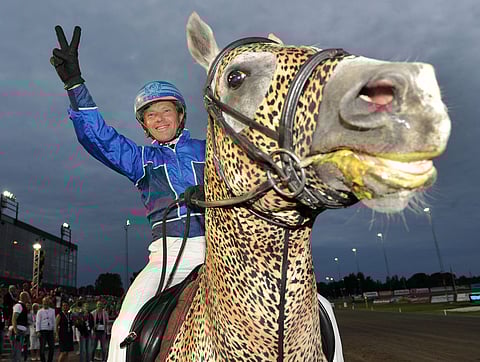 Tuomas Korvenoja on ollut näkyvästi mukana Euroopan suurimmissa ravikilpaiuissa viimeiset vuosikymmenet. Kuva Ruotsin Sprintermästaren voittojuhlista. Kuva Lars Jakobsson Kanal75