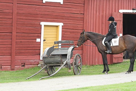 Nilsiän kotiseutumuseo.