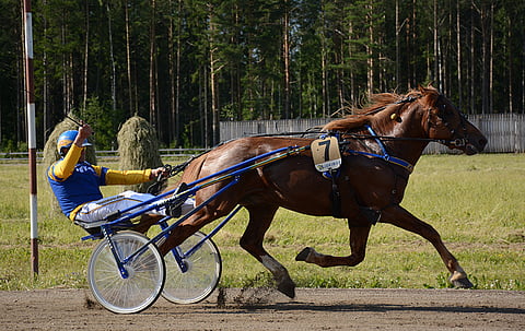 Terho Rautiainen tuuletti Suivikkaan voittoa Jämsässä. Kuva: Anna Karhila.