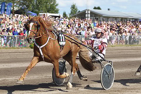 Tapsan Tahti Suur-Hollola-päivänä Lahdessa.