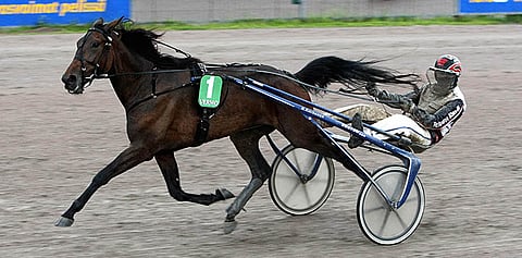 Ikäluokkansa ykköstamma El Catwalk vaihtoi omistajaa.