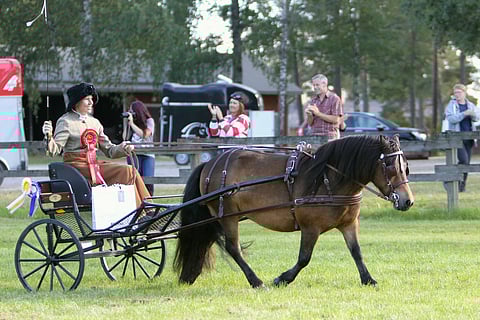 Mirva Kinnunen kiittää yleisöä kannustuksesta Tiitun vaunuissa.