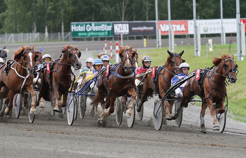 Yhteisymmärryspöytäkirjassa ja sen liitteissä käsitellään raviurheilun asemaa muuta pelitoimintaa laajemmin.