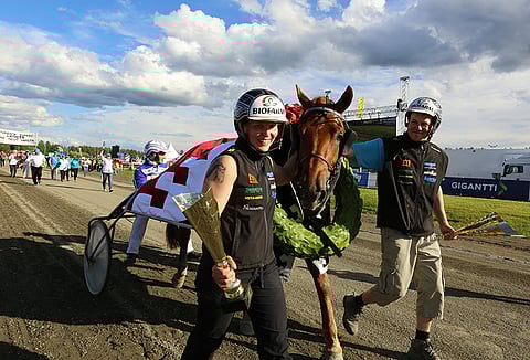Jokivarren Kunkku avaa tänään kautensa.