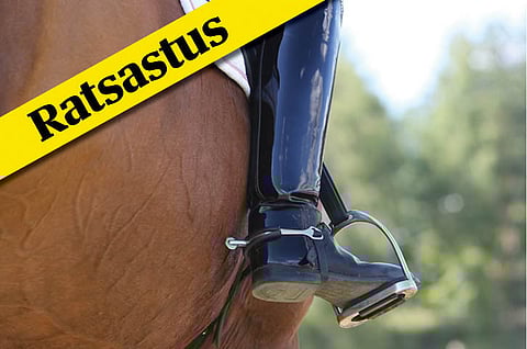 Hevosen piiskaaminen 5-ottelussa Tokiossa herätti keskustelun