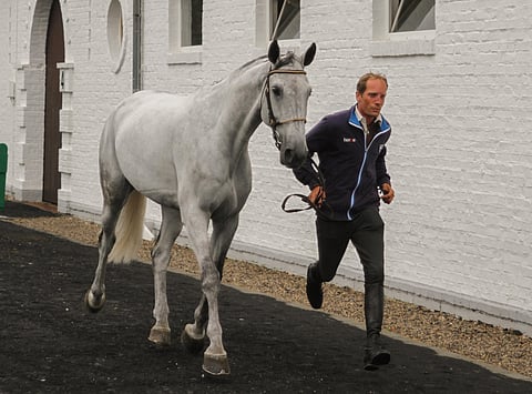 Numminen ja CueChanna saavat tänä talvena näyttää taitonsa. 