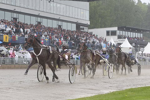 Delicious U.S. voitti tammojen Nelivuotiseliitin Elitloppet-päivänä 2013. Tuolloin ohjissa oli valmentaja Daniel Redén.