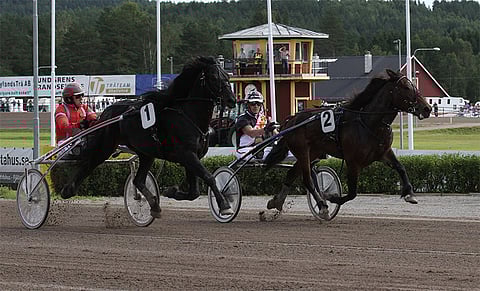 Månprinsen A.M:n yksi monista voitoista Dannerossa 2015. Kuva: HU arkisto