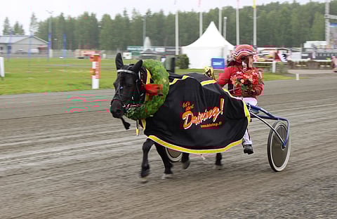 Tuoreet Suomen mestarit Mimmi VI ja Viivi Mattinen.