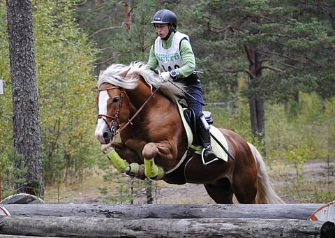 Melkoinen etujalkatekniikka. Friisin Paletti oli aluemestaruuksissa.