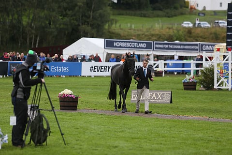 Duchess Desirée läpäisi eläinlääkärin tarkastuksen kirkkaasti.
