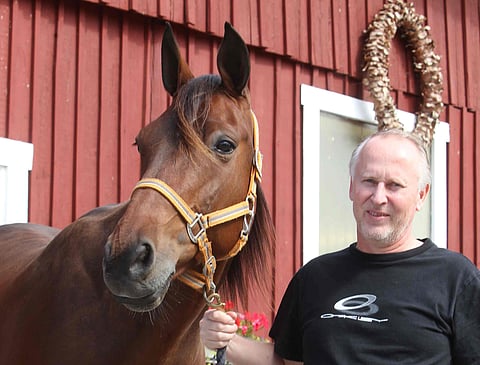 Lasse Punkarille Solvallan keskiviikkoravit toivat täysosuman tammalähdössä.
