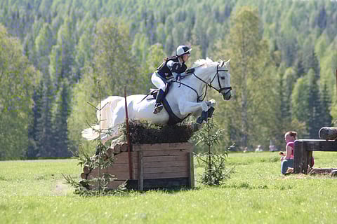Salla Aario ja Celtas Chibougamau vuonna 2013.