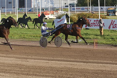 Twigs Voici havittelee Mikkelissä koko matkan johtoa.