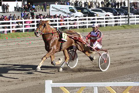 Ellin Sisu hallitsi alusta loppuun. Kuva: Harri Lind.
