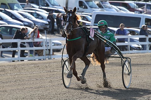 Vuonna 2014 Pertturi voitti Kriteriumin karsinnan ja tuli finaalissa toiseksi. Arkistokuva: Anu Leppänen